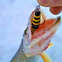 Mandula-zanderkiller-fishing-lure-jig-lure-buy-_57
